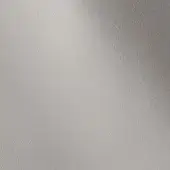 500255 - PLASTER